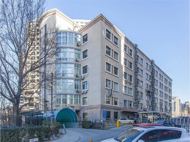 简阳有名的找平石膏诚信合作